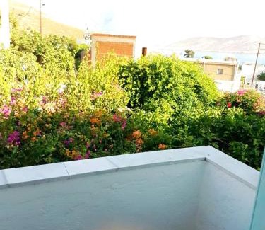 Kalymnos Apartment | Studios Sevasti