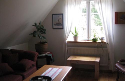 Olofstrom Apartment | Stuga i skogsbryn
