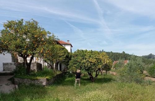 Tomar House | Stunning Hilltop Views - Orchard - Pool - Serenity