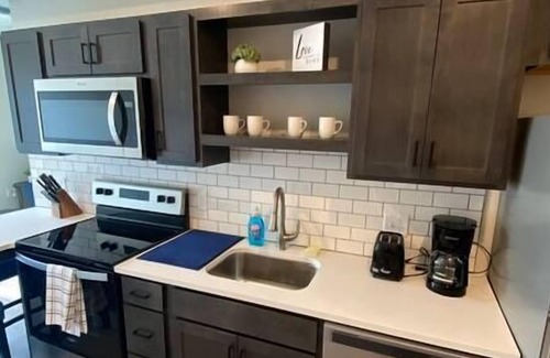 Downtown Apartment | Stunning Luxury 1 bd 1 bath Apt Downtown QC