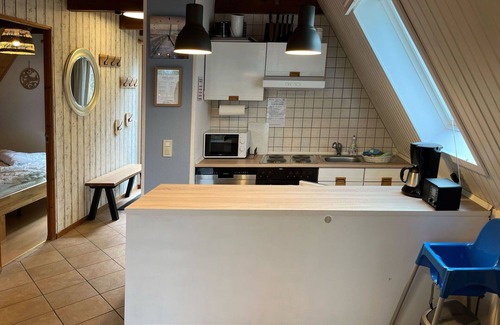 Bad Arolsen House | Stunning private villa for 6 guests with WIFI, TV, terrace, pets allowed and parking
