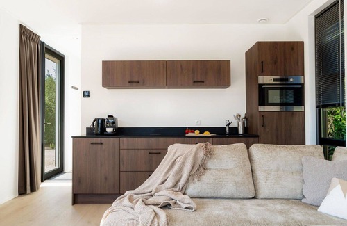 Vogelenzang House | Stunning private villa for 4 guests with WIFI, pool, TV, terrace and parking