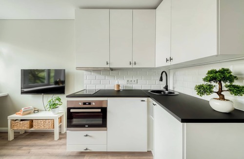 Business District Apartment | Stylish and Serene Apartment in Zverynas: Your Perfect Vilnius Retreat