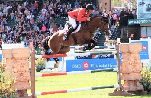 Silverado House | Stylish Getaway by Spruce Meadows