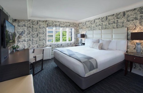 Kalorama Heights Hotel | Stylish Room, Minutes to George Washington University, Pets Are Allowed!