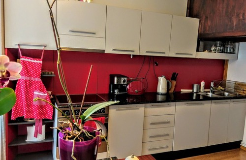 Centrul Vechi Apartment | Stylish Studio Kronstadt