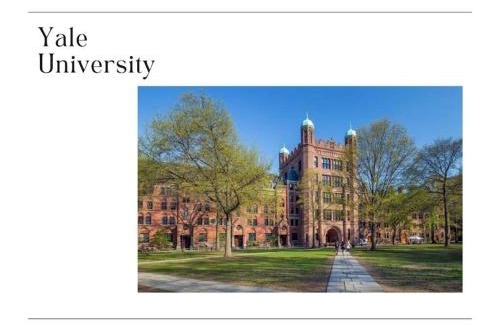 Downtown Apartment | Stylish Yale Wooster Square Downtown Laundry