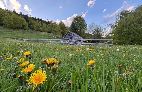 Kamnik Cottage | Suška Mountain Lodge - Alpine Tranquility