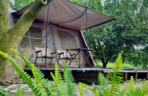 Chau Duc Other | Suối Camp