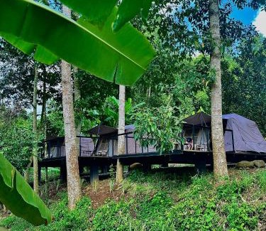 Chau Duc Other | Suối Camp