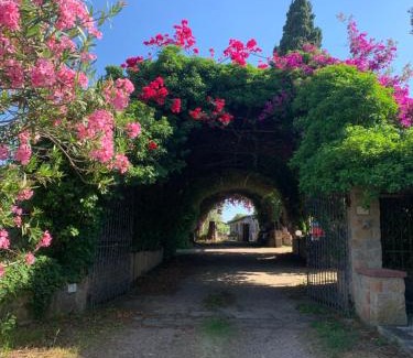 Girasole Apartment | Su Giardinu