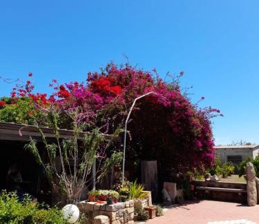 Girasole Apartment | Su Giardinu