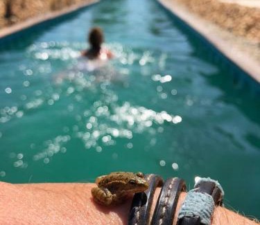 Santiago do Cacem Other | Sublim' Ecolodge