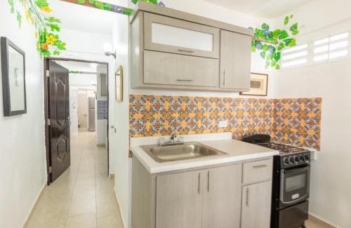 Esperanza Apartment | Suite 10 Guey