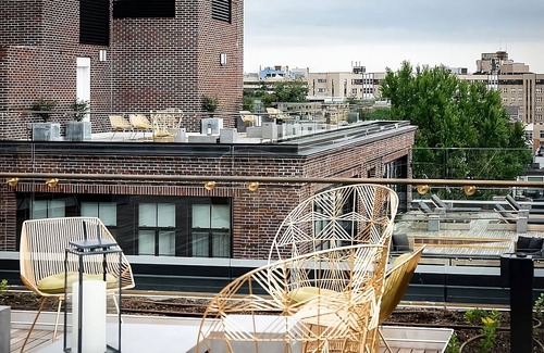 Adams Morgan Hotel | Suite Bliss, Near Zoo and Parks, Stylish Experience, 2 Pet-Friendly Units!