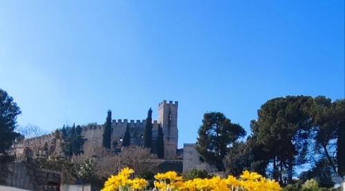 Oria Historic Centre Apartment | Suite Chiara