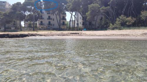 Rivabella Apartment | Suite con terrazzo sul mare e discesa in spiaggia a Gallipoli