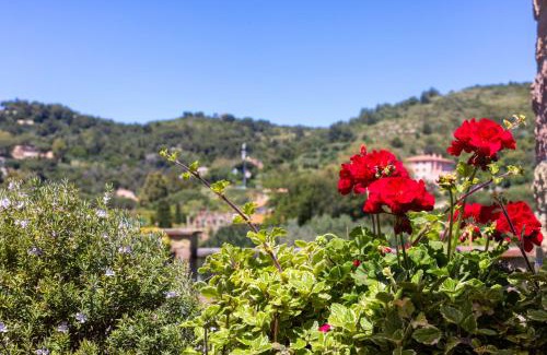 Bagnaia Apartment | SUITE ELEVEN ISOLA D'ELBA