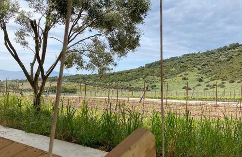 Sorso House | SUITE Rooms in Tenuta Asinara Vineyard