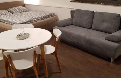Karlovy Vary Apartment | Suite with back garden