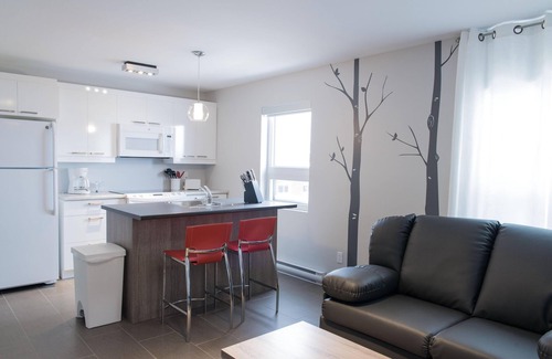 Rouyn-Noranda Apartment | Suite with closed bedroom and sofa bed on the rue Principale (Le Chic-urbain)