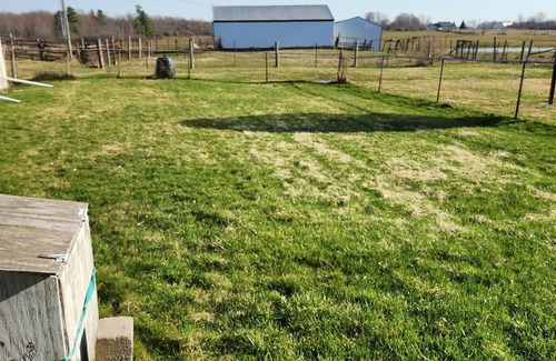 Kingston Other | Suited best 4 Parties