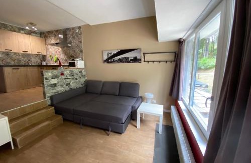 Marilleva Apartment | Sul cucuzzolo