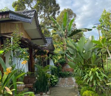 Bohorok Cabin | SumatraOrangutanDiscoveryVilla