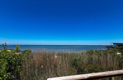 Davis Park House | Summer 25 is here! September Price Drop! Don’t miss out! Last week 9.5 - 9.12