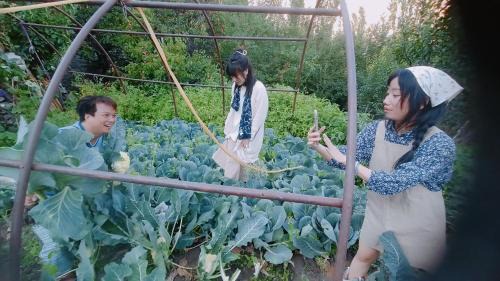 Turtuk House | Summer and winter homestay Turtuk Youl
