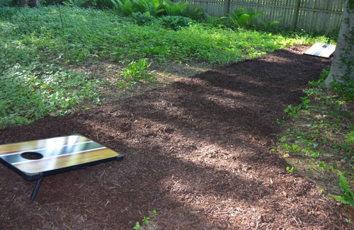 Waukazoo Woods House | Summer Dates open near Lake MI & Downtown! Deck, Grill, Fire Pit & Cornhole!