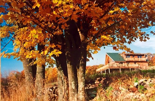 Lexington Cabin | Summer fun in the Catskills