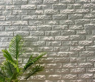 Zhiben House | Summer Grass B&B 台東縣民宿1729號