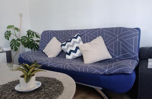 Sibu House | Summer Homestay@civic centre