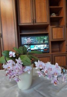 Debrecen Apartment | Summer Kardos Apartman