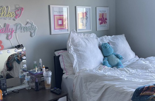 New Brunswick Apartment | Summer Sublease Single Bedroom is stylish new apartment building!