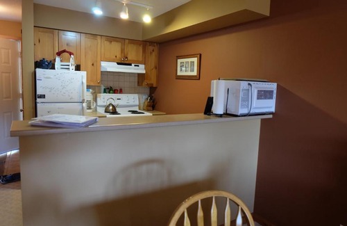 Silver Star Mountain Apartment | Summer Wind