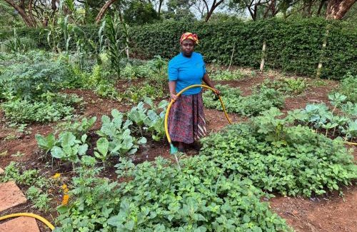 Moshi Resort | Summit Retreat