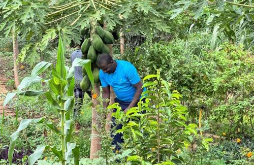 Moshi Resort | Summit Retreat