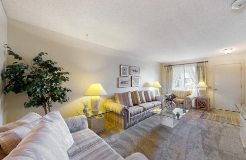 Sun City House | Sun in the City