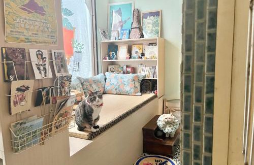 Toucheng House | Sun Moment 鬆貓們民宿