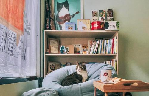 Toucheng House | Sun Moment 鬆貓們民宿