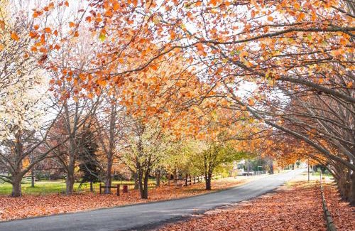 Tenterfield House | Sunday at Mirumiru with Views, Space and Serenity