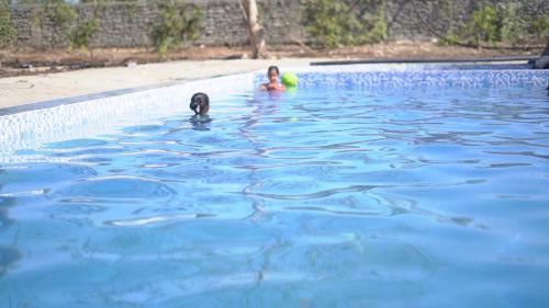 Sasan Gir Resort | Sundervan Resort