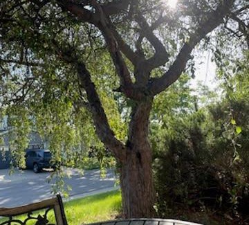 North Central Westminster House | Sunny and Spacious, Hottub, Piano, Guitars, Fenced Yard, Pets Welcome, LGBT Friendly
