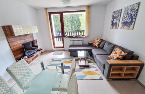Borovets Apartment | Sunny Apartment C25