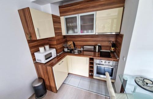 Borovets Apartment | Sunny Apartment C25