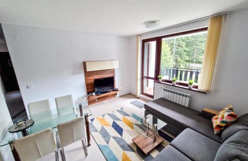 Borovets Apartment | Sunny Apartment C25