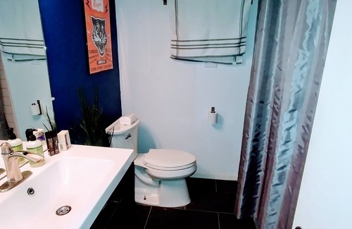 North Shoal Creek Condo | Sunny Condo in North Central Austin