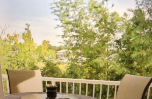 Suwannee Condo | Sunny Daze Suwannee Cove Condo Overlooking the Gulf